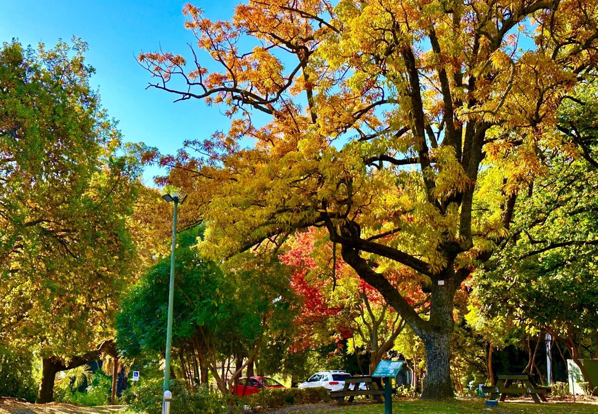 The Grand Oaks Resort Beechworth Exteriér fotografie